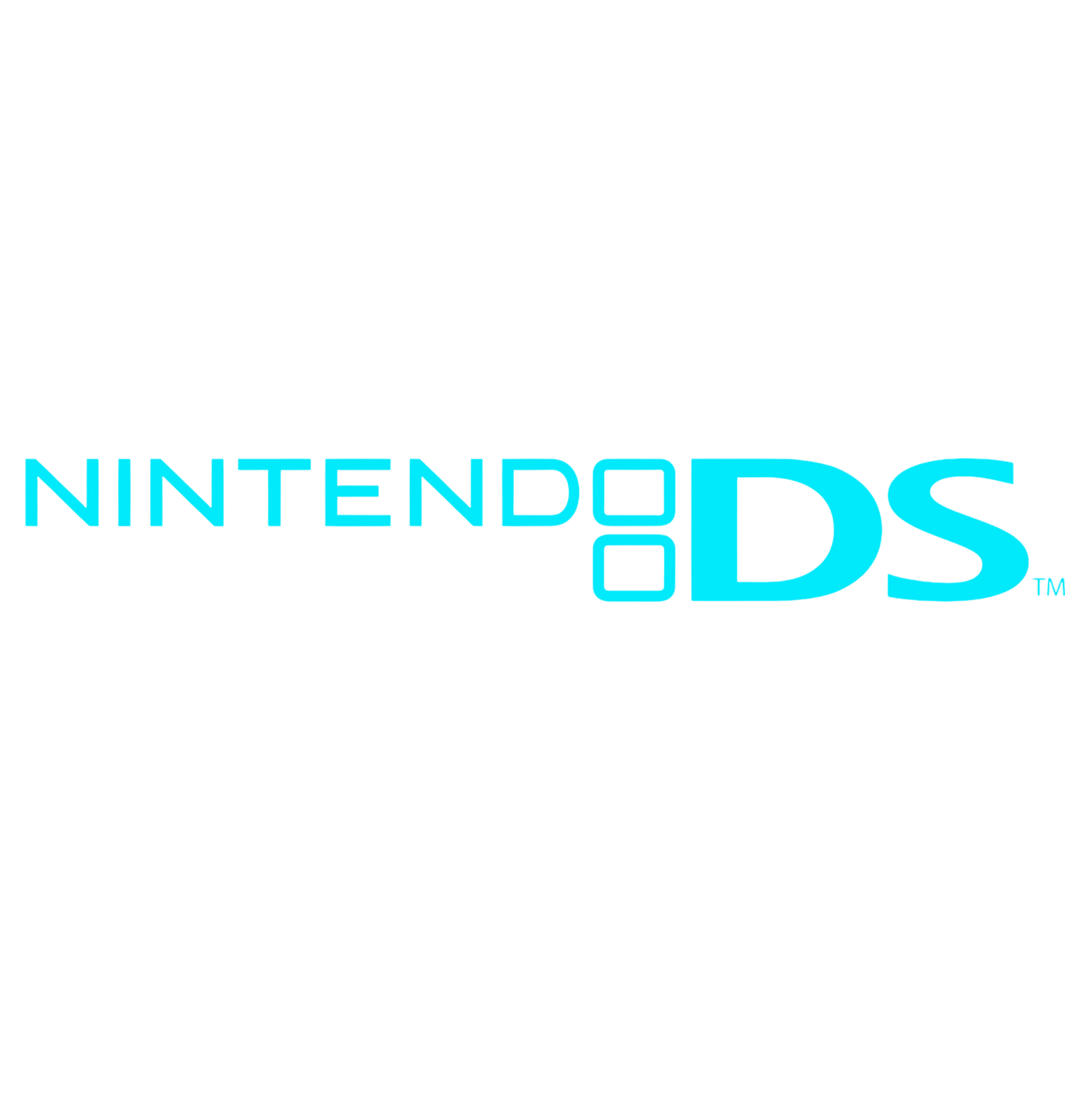 NINTENDO DS GAME