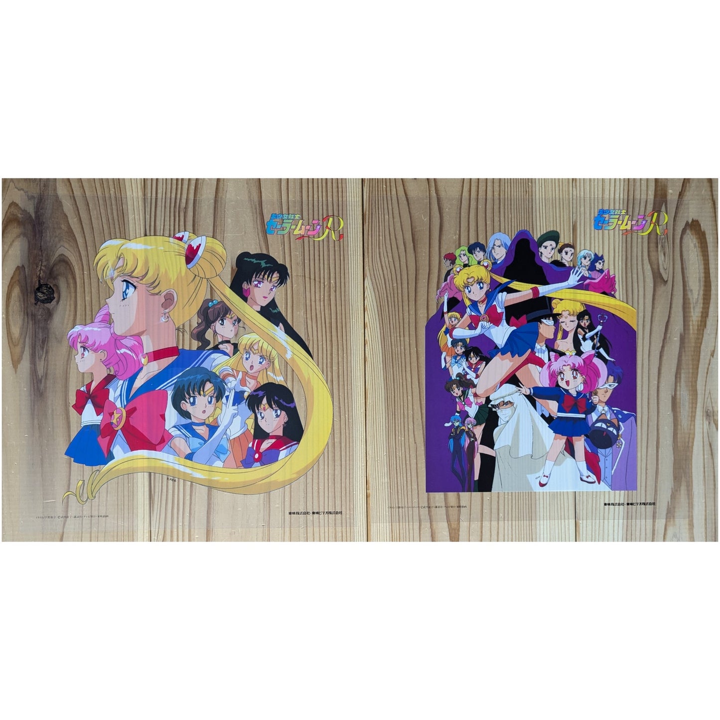 LD- Sailor Moon R complete 11 Volume Set Box (Laser Disc Japan Edition)