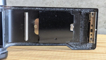 Yashica Auto Focus macro of rear door interior showing film pressure plate and light seal foam